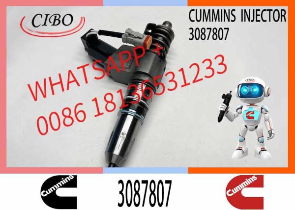 CUMMINS Construction Machinery Part Fuel Injector 3087807 CUMMINS N14 Nozzle QSN14 CUMMINS SD22 Bulldozer Engine Injector