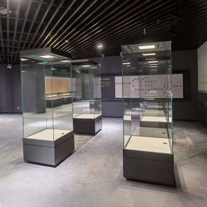 Smart-Lighting Glass Display Case with Climate Control Freestanding Museum Cabinet for Private Collectors