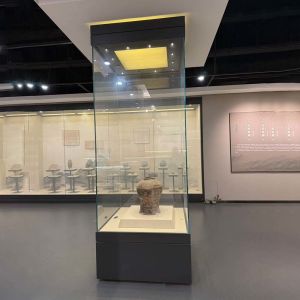 Custom Full View Freestanding Display Cabinet Flexible Museum Equipment