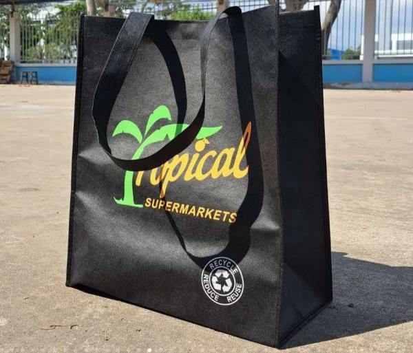 Custom Printing Non Woven Shopping Bag Hot Sale Eco Friendly Reusable Non Woven Tote Bag Wholesale Non-Woven Grocery Carry Bag