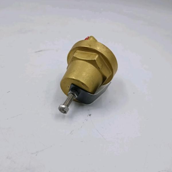 Gardner Denver Regulating Valve 2009398 for Air Compressor Parts