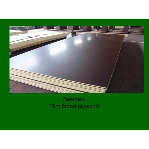 phenolic Film faced plywood