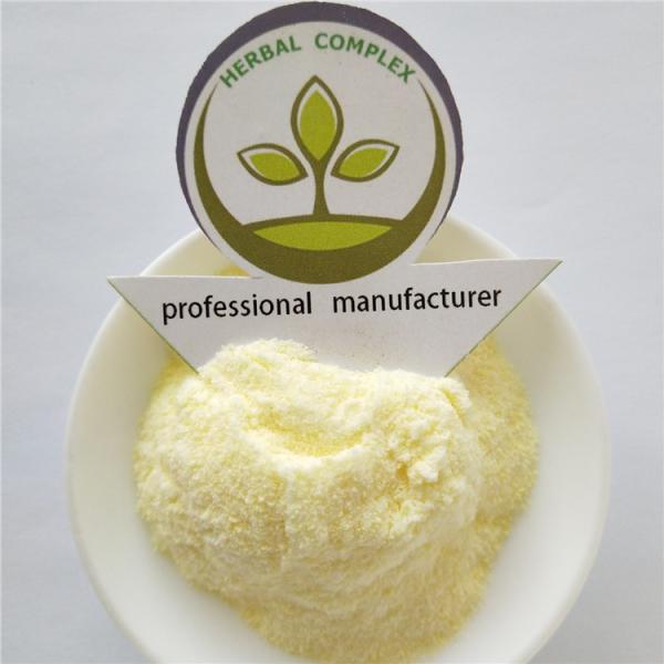 durian fruit powder  buy  best health benefits supplement smell products nutrition