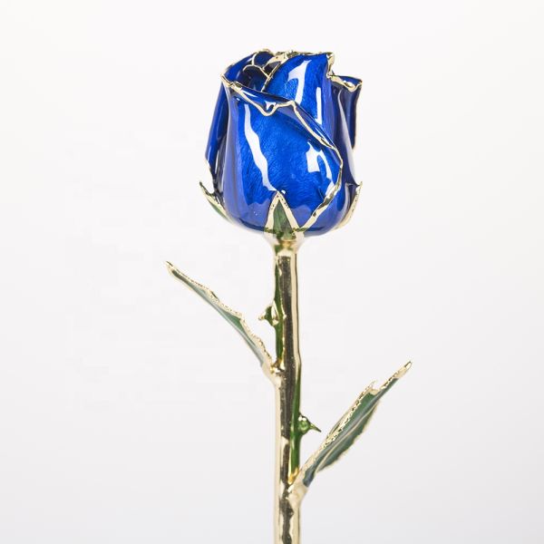 Half-blooming 24k Gold  Trimmed Rose   Handmade Flowers Preserved Fresh Rose with Stem Present  Rose Gift