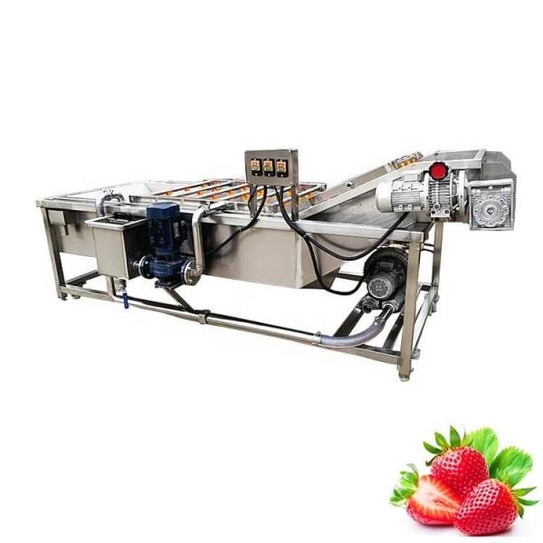 2000kg/H Borracha de bolhas Agrícolas Máquina de lavar frutas e vegetais Hotéis