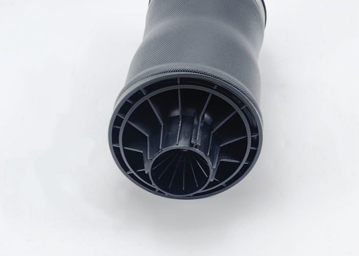 2513200425 Rear Air Suspension Spring Bags For Mercedes Benz 