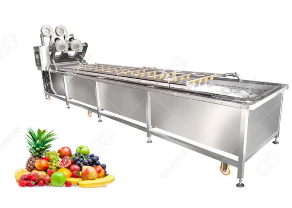 Ce Certified Stainless Steel Fruit Processing Machine Fruit Mango Apple Washing Machine