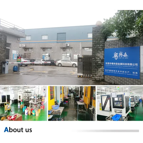 Stainless Steel Capillary Tube Taper Diameter Change Plug Head