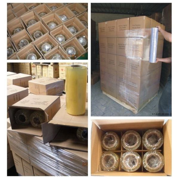 PVC Biodegradable Cling Film Special Formula White Mushroom Biodegradable Cling Wrap