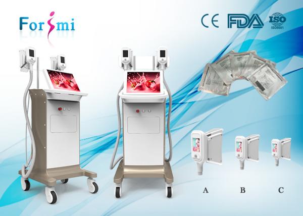 2018 Normal size with huge size screen,mutilple size of handles,sound results,Cryolipolysis Slimming Machine