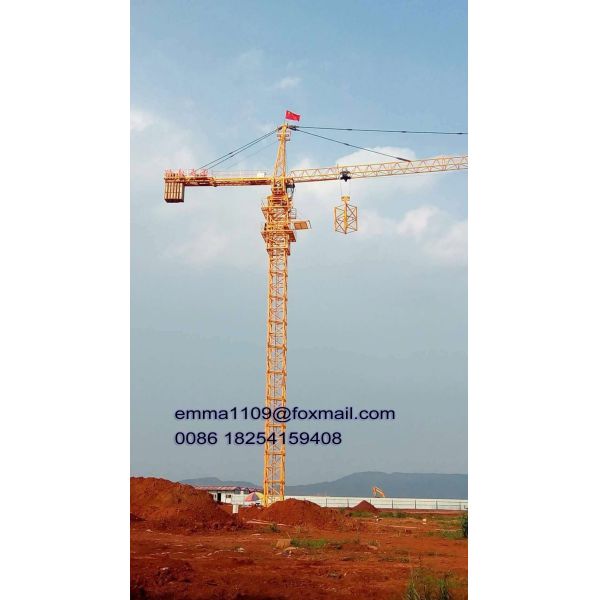 50m Working Jib QTZ63 Tower Crane with 2.5m Block type Mast Section Easy to Install