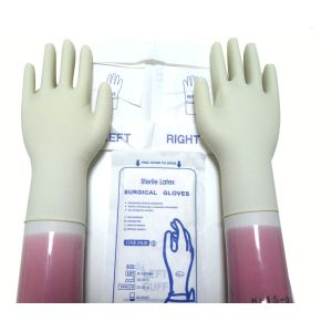 Disposable Sterile Gloves
