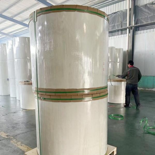 Long Filament Polyester Asphalt Cloth / White 100% Polyester Felt Fabric