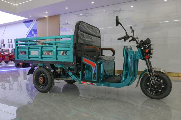 Semi Enclosed Two Seater Electric Tricycle 25km/H 60v 1000w