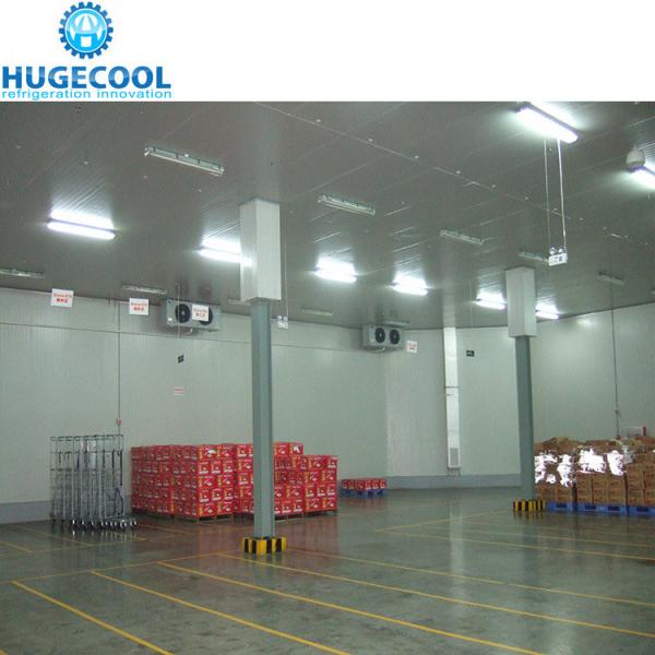 Temperature -18c Industrial Assembled Cool Rooms and Freezer Room with Condensing Unit