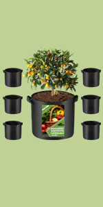 Fabric Raised Garden Bed 6x3x1ft Garden Grow Bed Bags for Growing Herbs, Flowers and Vegetables 128 Gallon