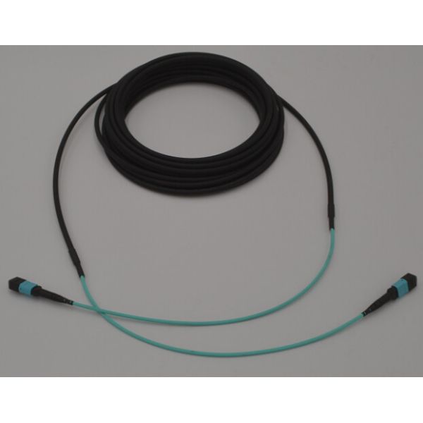 24 кабеля хобота оболочки ядра MPO MTP OM4 5.5MM двойных с кабелем 30cm
