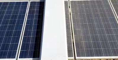 High Efficiency Solar Panels Custom Made Multi Species Photovoltaic Panels