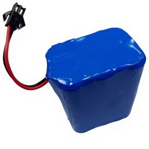 Custom Battery Pack
