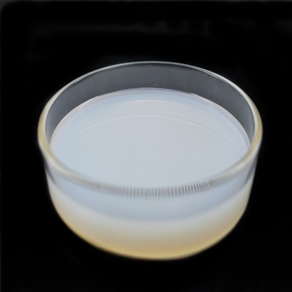 Excelente compatibilidad con el cemento Emulsión acrílica acuosa para el revestimiento impermeable del cemento