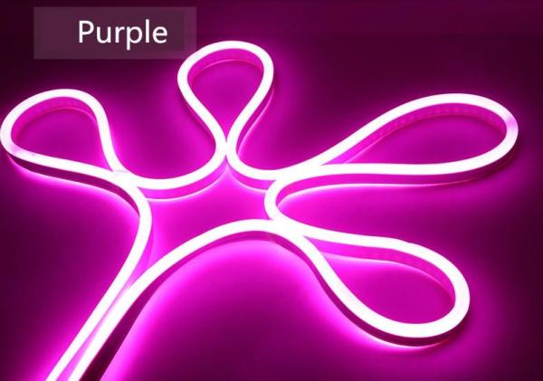 lumière au néon de câble menée par 110V, lampe au néon menée flexible rose pour le décor à la maison