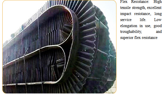 Customized Nylon Rubber Belt  For Heavy Duty Equipment And Continuous Industrial