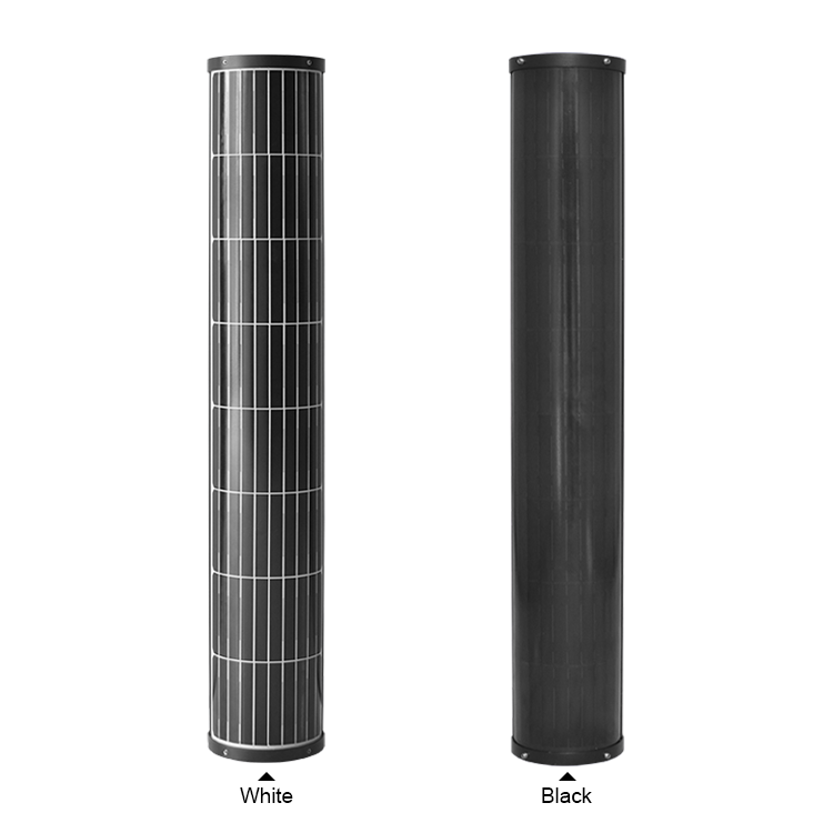 Newest Solar Energy Product 100w Sunpower Solar Glass Tubes For Street Lamp