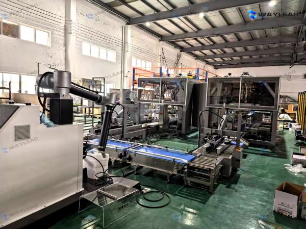 Pillow Packing Machine with 120-300 mm Package Length 35-80 mm Package Width and 3.1 KW Power for Automatic Bagging and Sealing