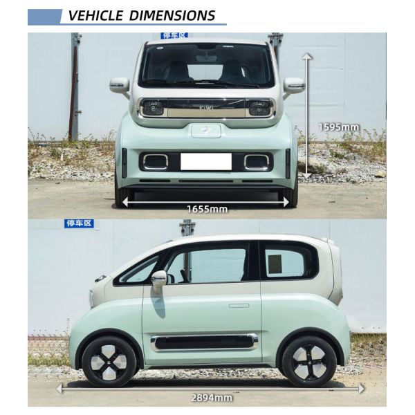 E100 E300 Ev Electric Car