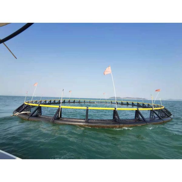 Boost Your Aquaculture Yield: HDPE Fish Cage With Significant Production Growth