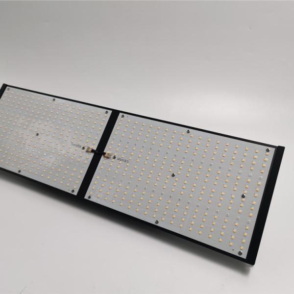 O diodo emissor de luz de IP20 LM301B cresce a estufa vermelha azul clara de V4 240w 2x4 cresce lâmpadas