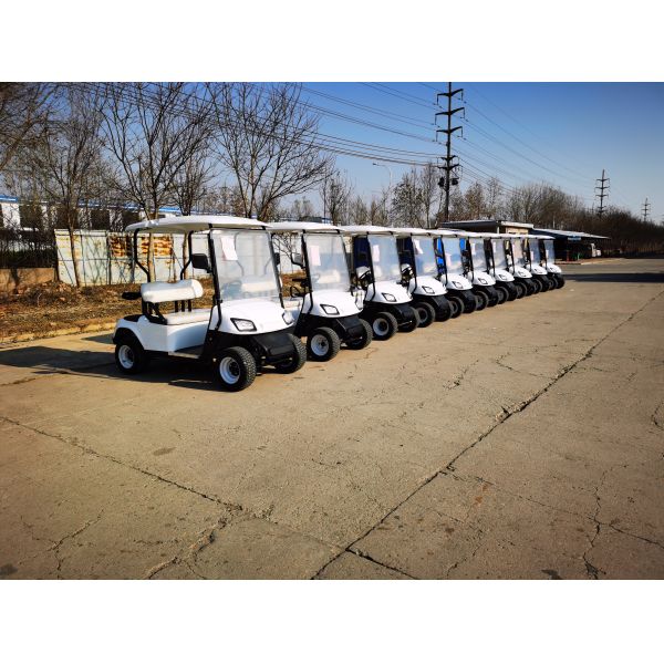 Оптовая продажа 4-пассажирской гольф-коляски