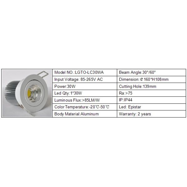 COB 30W Led Ceiling Light