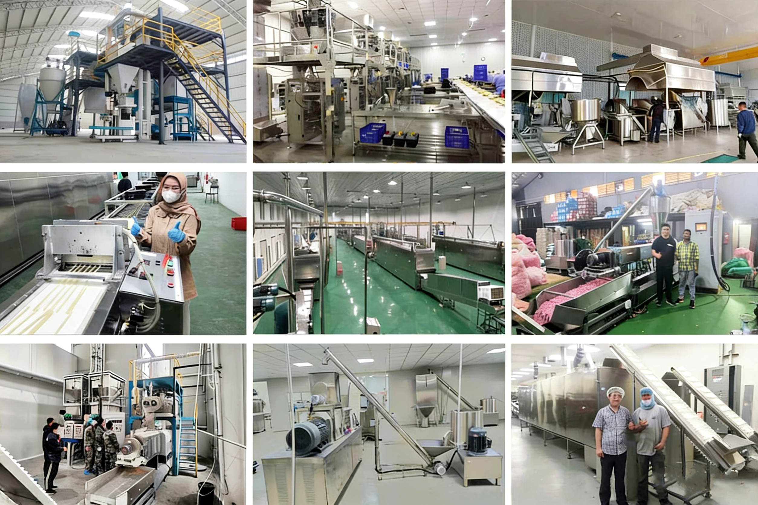 Pets Food Making Machine 100kg Per Hour Pets Puffed Snacks Making Machine