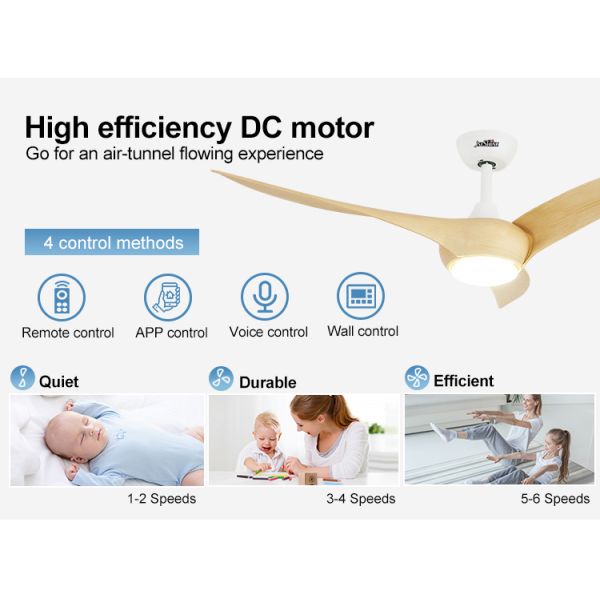 Logotipo OEM 1stshine 54 