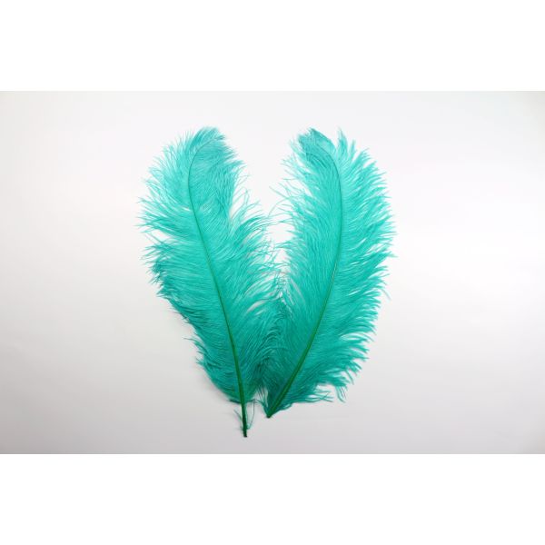 Carnival Costumes Decoration Millinery Feather , Ostrich Plume Feathers Multi Colored