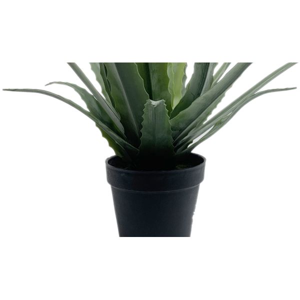 Flexible Glue Artificial Greenery Bonsai Tree Aloe Vera 30 CM 36 CM 50 CM61 CM