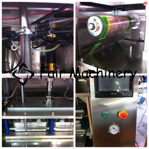60VAC 4BPM Industrial Vacuum Sealing Machine Boxed Fresh Meat Food Sealer SUS304