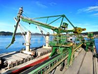 Rendement élevé automatiquement déchargé vigoureux rouge de déchargeur de bateau de vis