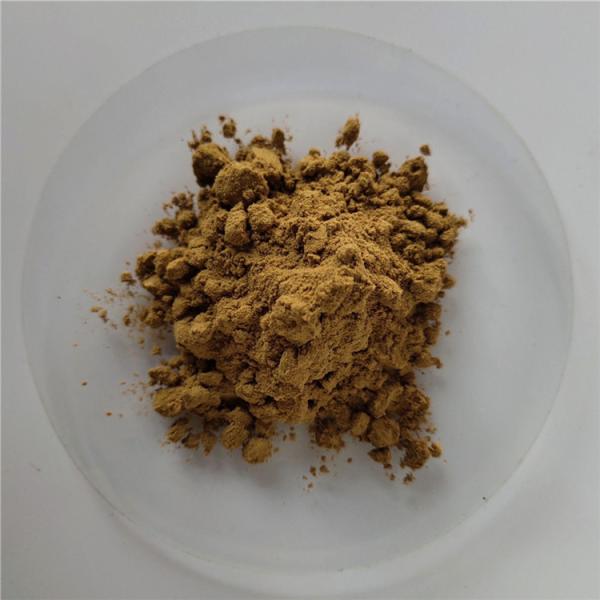 Immune Medicines Green Bristlegrass Herb/extract seagrass