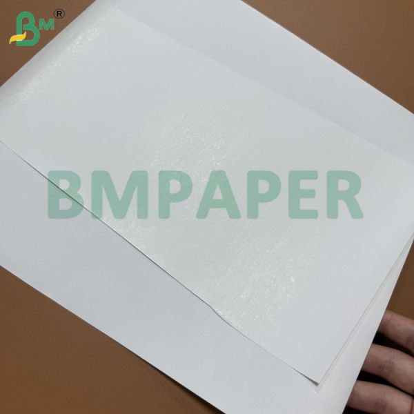 65gsm White Thermal Paper Jumbo Rolls BPA Free Blue Image Receipt Paper 405mm 65gsm White Thermal Paper Jumbo Rolls BPA Free Blue Image Receipt Paper 405mm