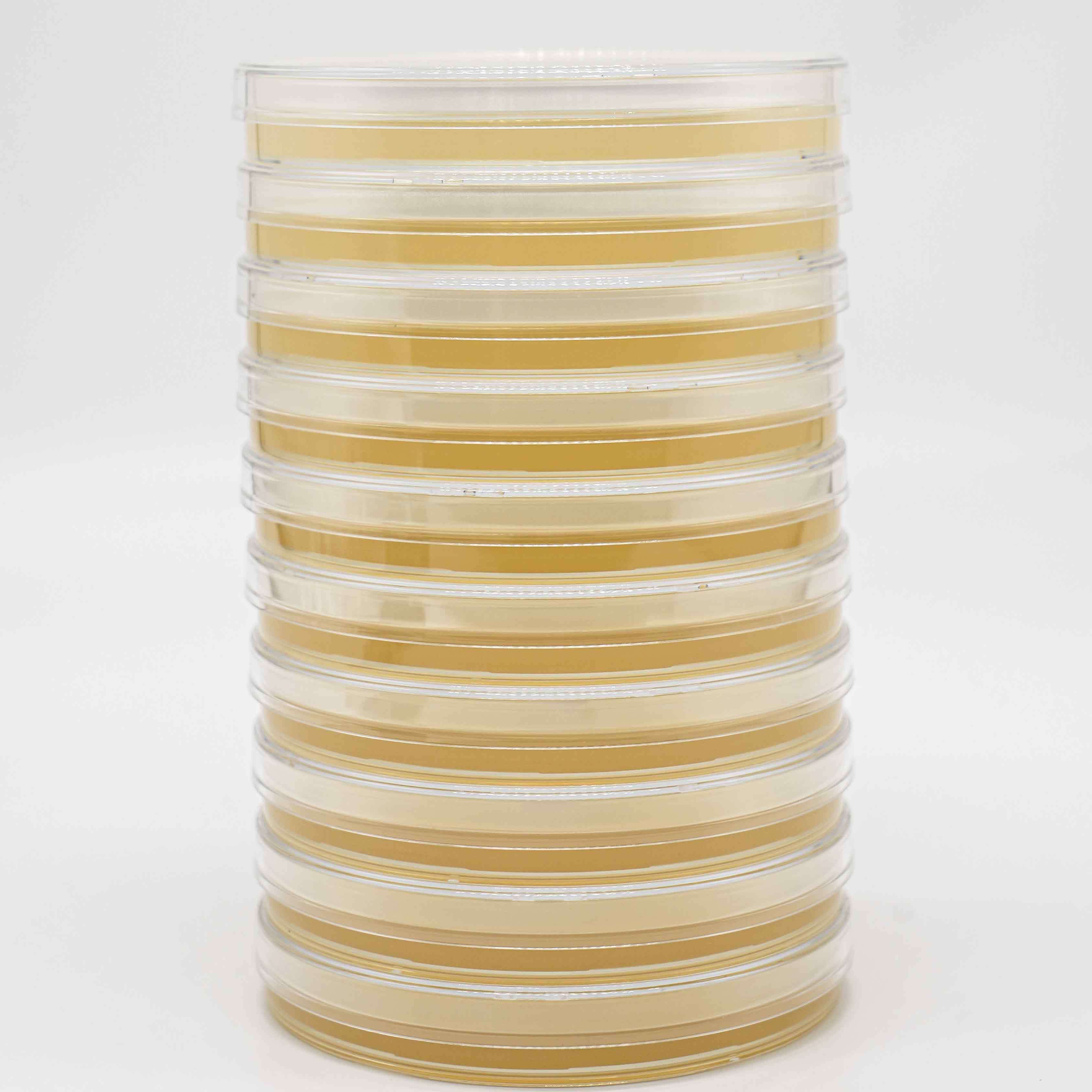 Microbiology Prepared Agar Plates Lecithin Tween 80 Tryptic Soy Agar TSAWLP Sterile Culture Media