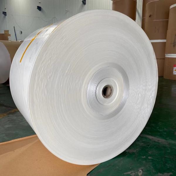 Grama de papel revestido impermeável do rolo 150 do PE do produto comestível ~ 350 gramas
