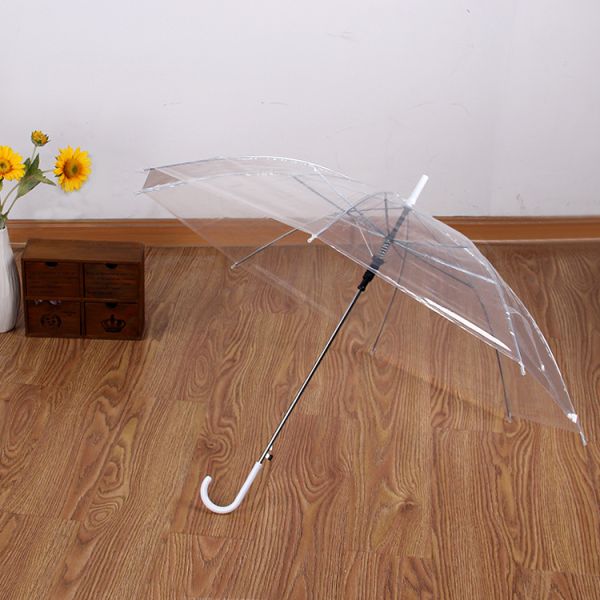Plastic Creative Small Fresh Long Handle Transparent Umbrella with Auto Open Function