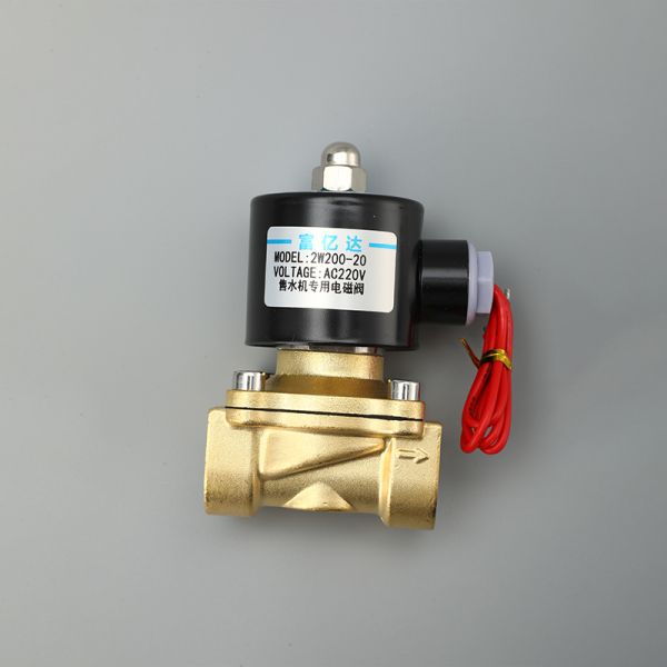Water Solenoid Electric Valve 24 V/220V 1/2