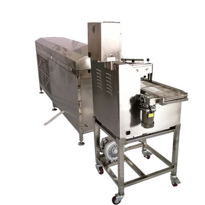 Automatic Double Chocolate Enrober Machine 304 Stainless Steel for Frozen Raspberries