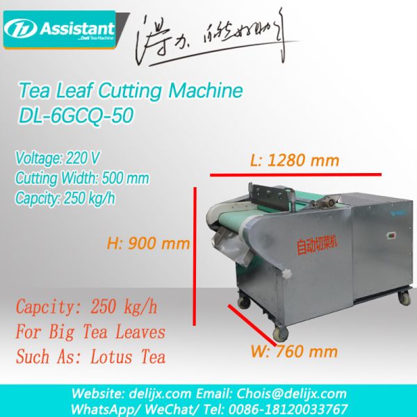 220V/50Hz Voltage Fresh Green Tea Leaf Cutting Machine DL-6GCQ-50 with 250 kg/h Efficiency