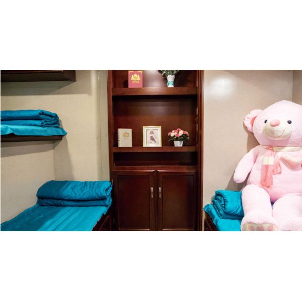 Le campeur à la maison de remorque mobile de Campervans Motorhome de fibre de verre a entièrement fourni