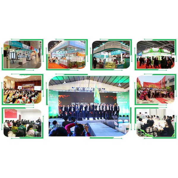 Прогулка панели ПУ вентиляторной системы охлаждения в холодных комнатах на хранение еды гарантия 1 года