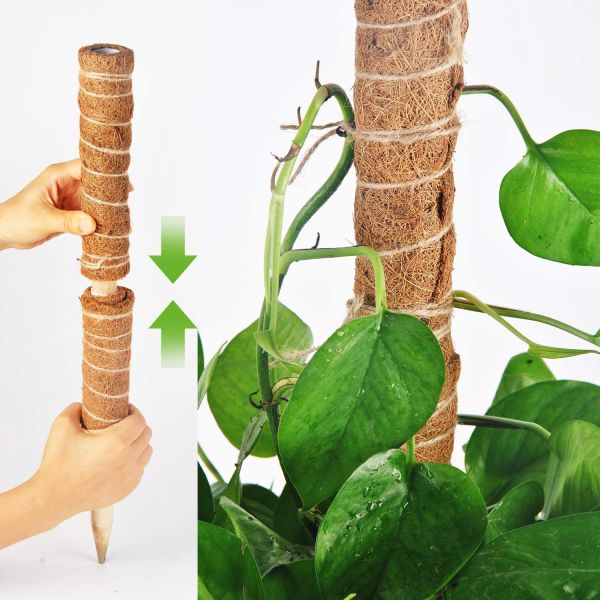 15.7 Inches  Natural Colored Plant Poles Coconut Coir poles Moss Pole for Plants Climbing and Supporting